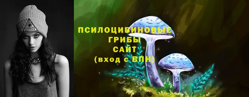 hydra ТОР  Маркс  Псилоцибиновые грибы Psilocybe 